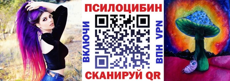 где найти   Курск  Псилоцибиновые грибы GOLDEN TEACHER 