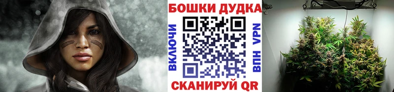 наркошоп  Курск  Канабис AK-47 